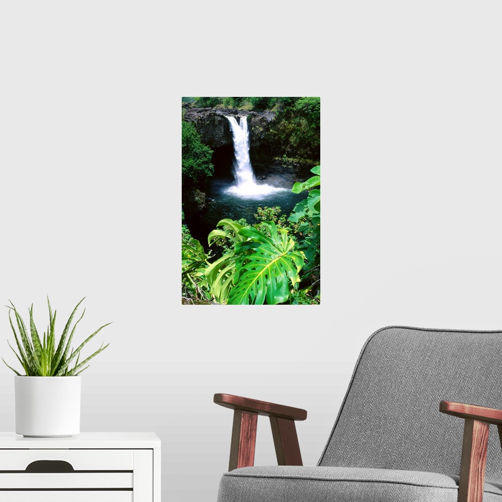 A modern room featuring Hawaii, Big Island, Hilo, Rainbow Falls State Park, Greenery Surrounding