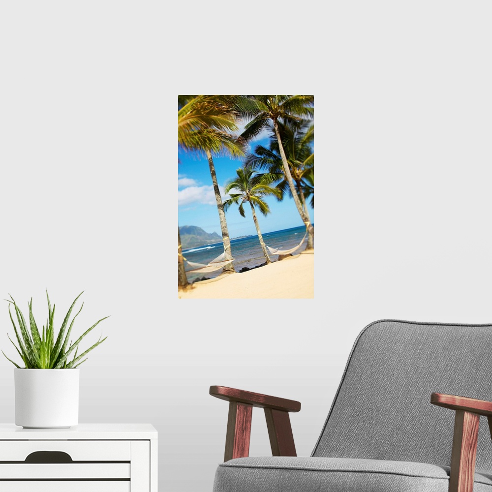 A modern room featuring Hawaii, Kauai, Hanalei Bay Princeville, Two Hammocks Hang Between Palm Trees