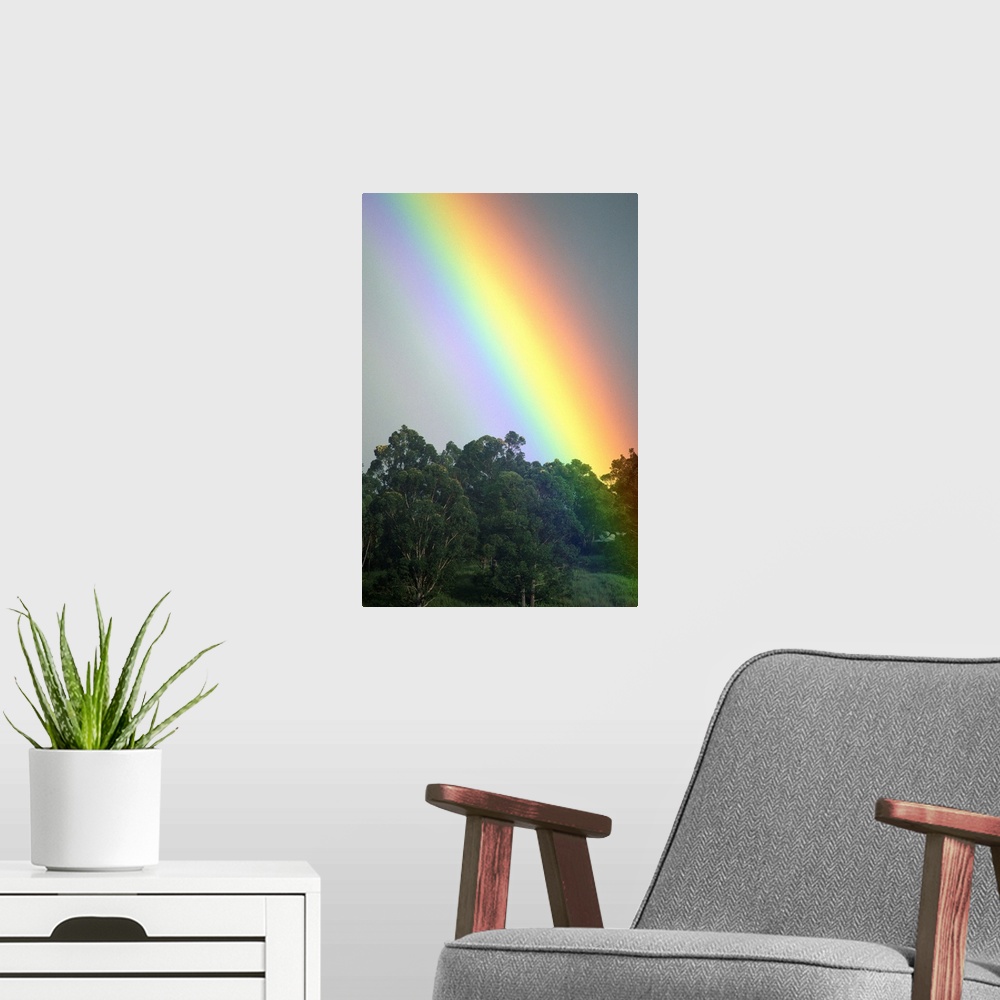 A modern room featuring Hawaii, Maui, Haiku, Bright Rainbow In Misty Skies Over Trees