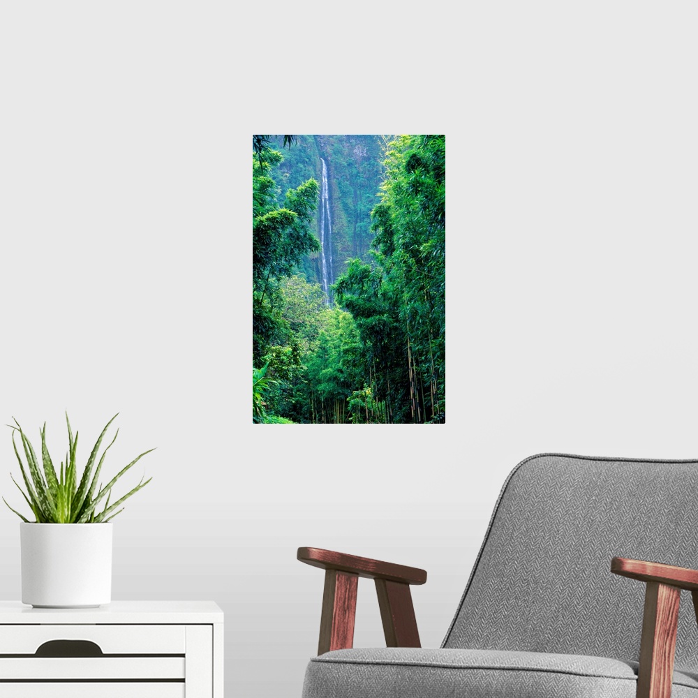 A modern room featuring Hawaii, Maui, Hana, Oheo Gorge, Waimoku Falls, And Bamboo Forest