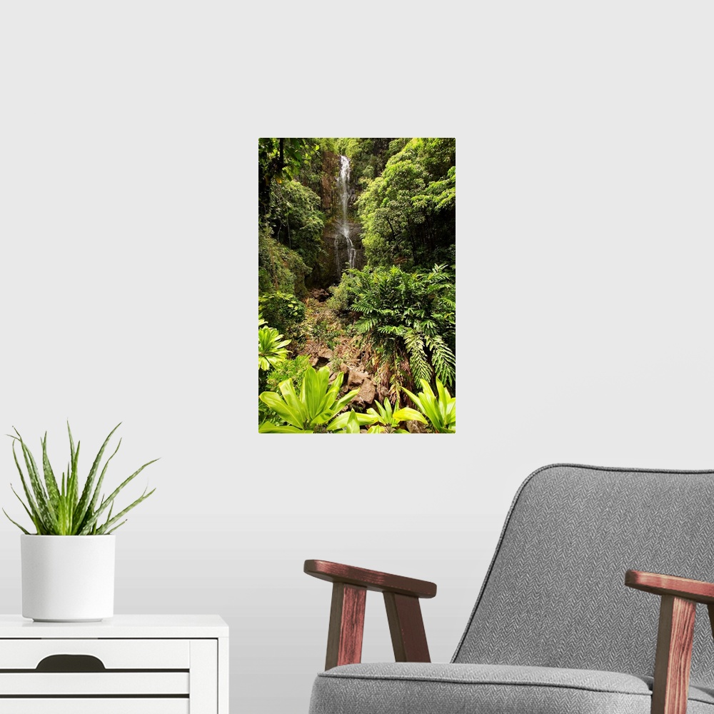 A modern room featuring Hawaii, Maui, Kipahulu, Hana Coast, Wailua Falls Surrounded By Foliage