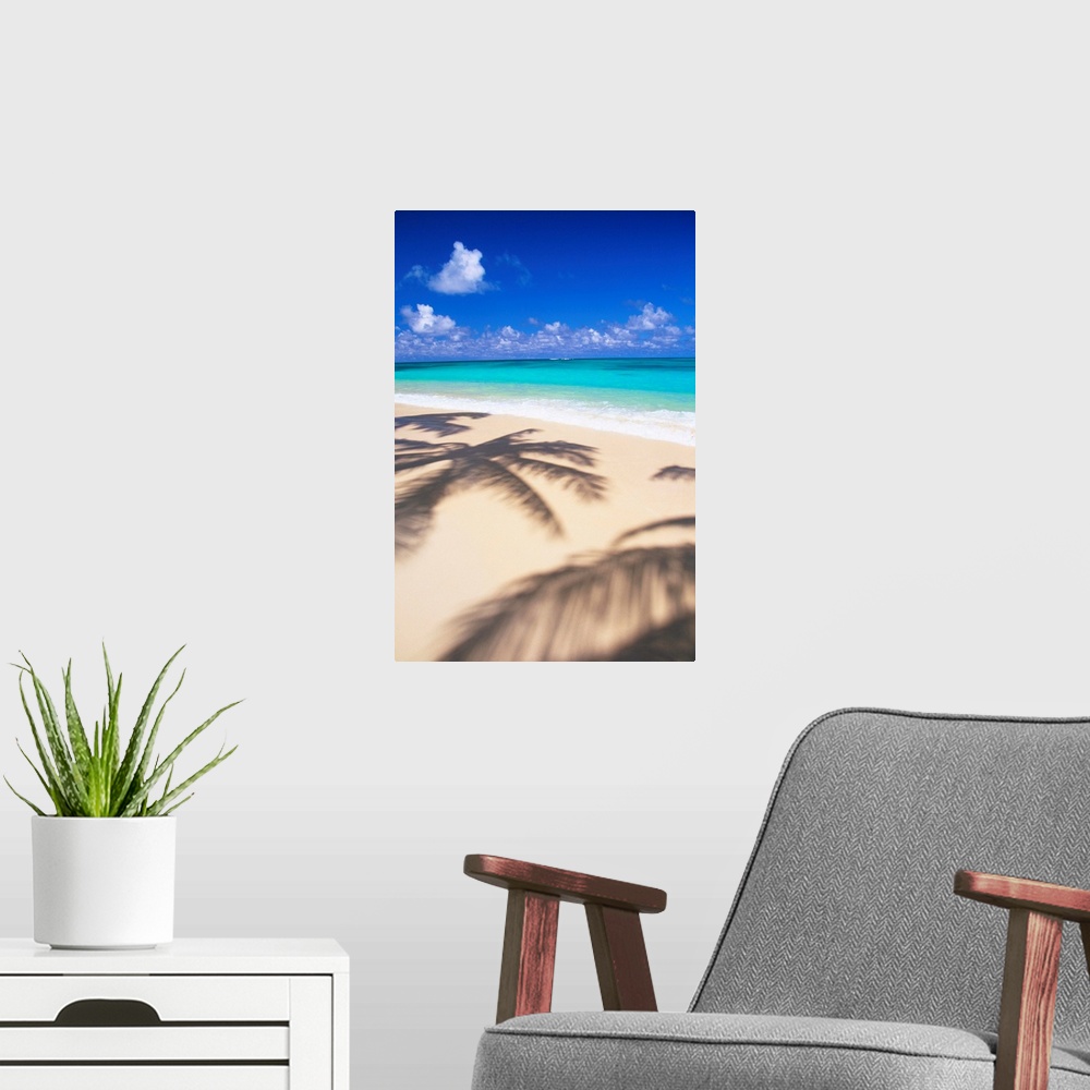 A modern room featuring Hawaii, Oahu, Lanikai, Tropical Beach Scene With Palm Shadow On Sand