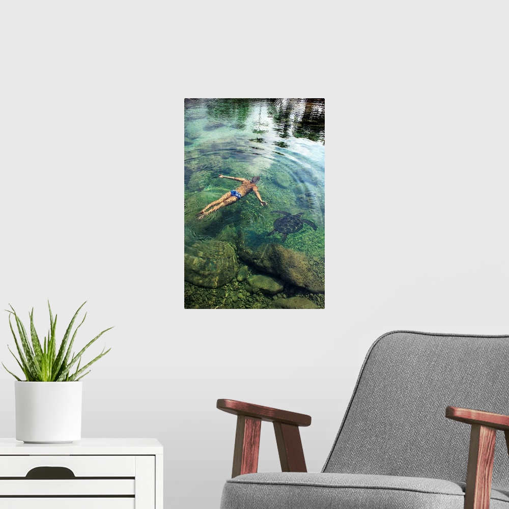 A modern room featuring Hawaii, Oahu, Man And Hawaiian Sea Turtle Swimming Side By Side In The Ocean Reef