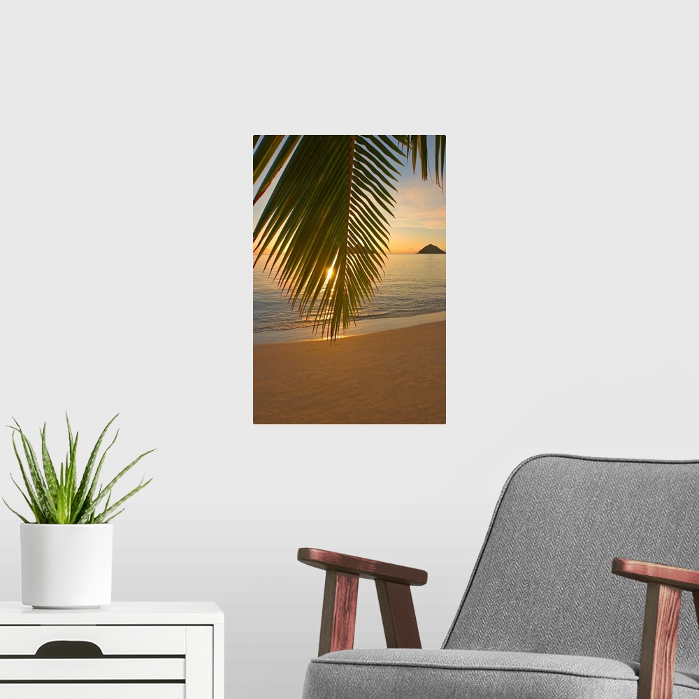 A modern room featuring Vertical photograph of a palm frond hanging low on a beach and partially obscuring the view of th...