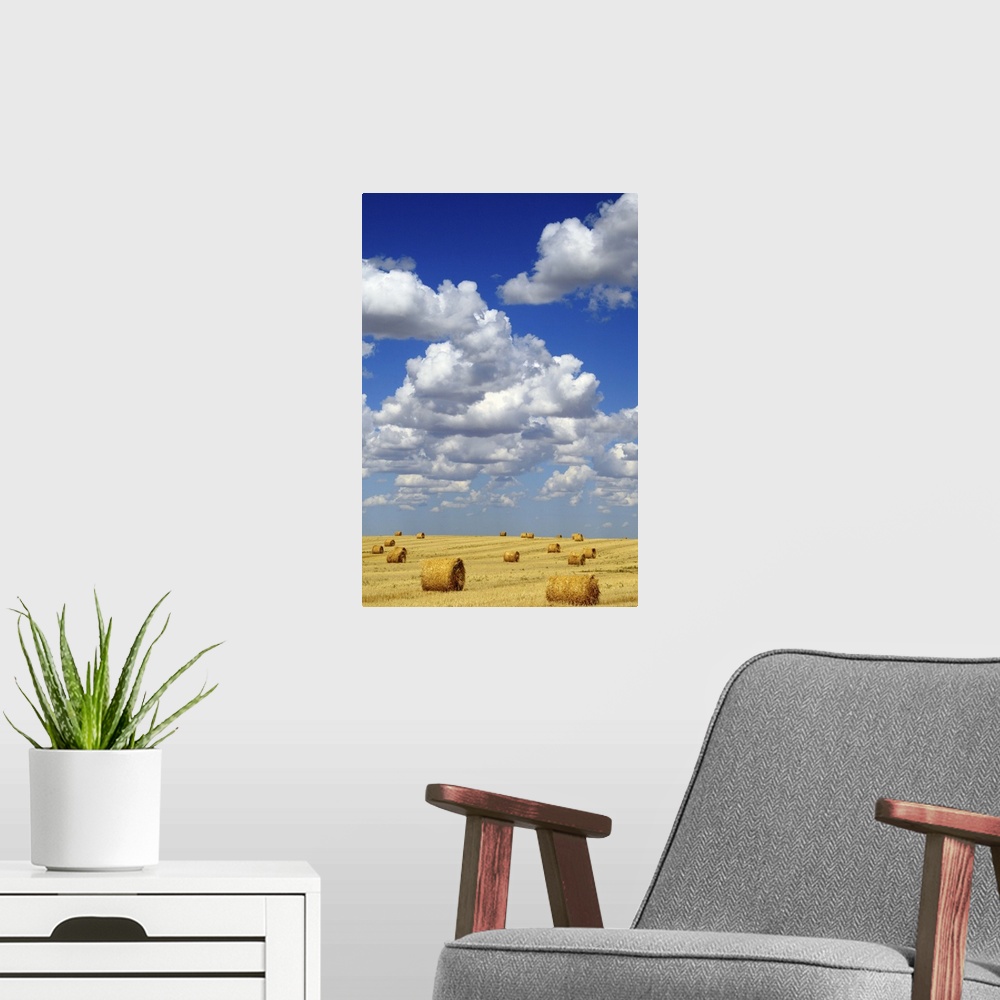 A modern room featuring Hay Bales With White Clouds