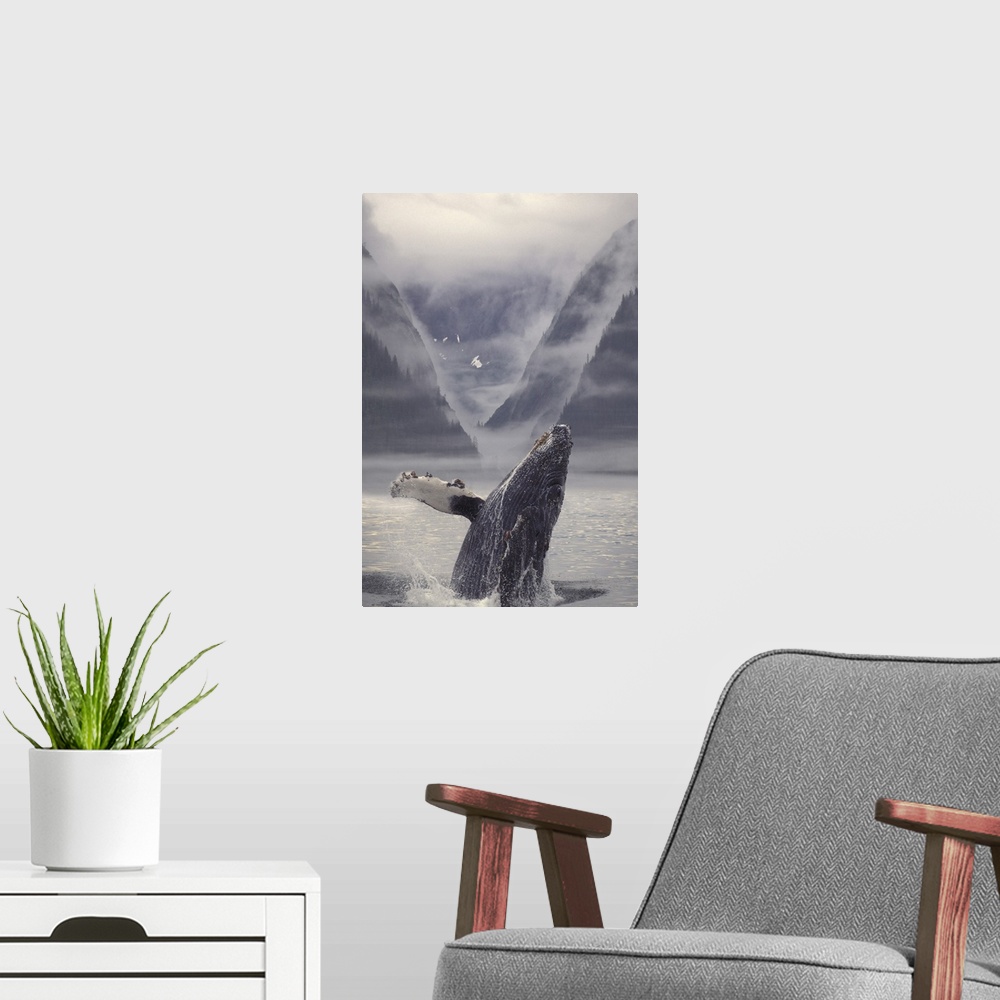 A modern room featuring Composite Humpback Whale Breaching With Mist-Covered Mountains In The Background Of The Alexander...