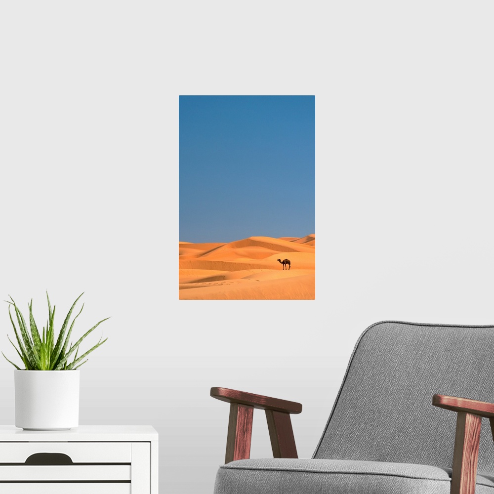 A modern room featuring Lone Camel In the Sahara; Merzouga, Morocco