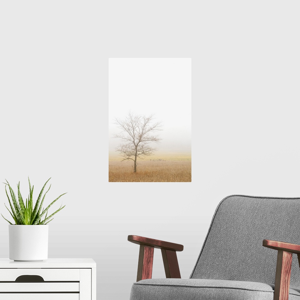 A modern room featuring Lone Tree In A Wheat Field