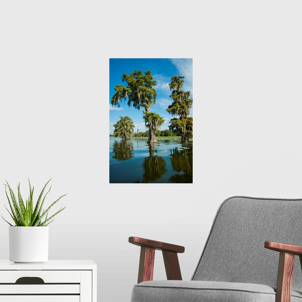 A modern room featuring Louisiana, Swamp landscape, Breaux Bridge