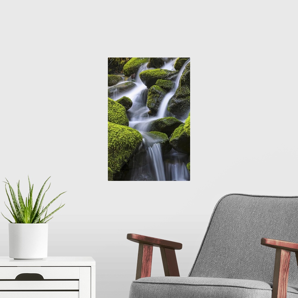 A modern room featuring Moss-covered rocks with cascading water, Denver, Colorado, united states of America.