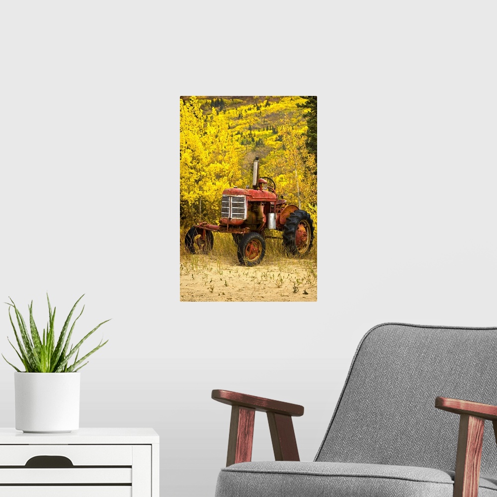 A modern room featuring Old Farm Tractor