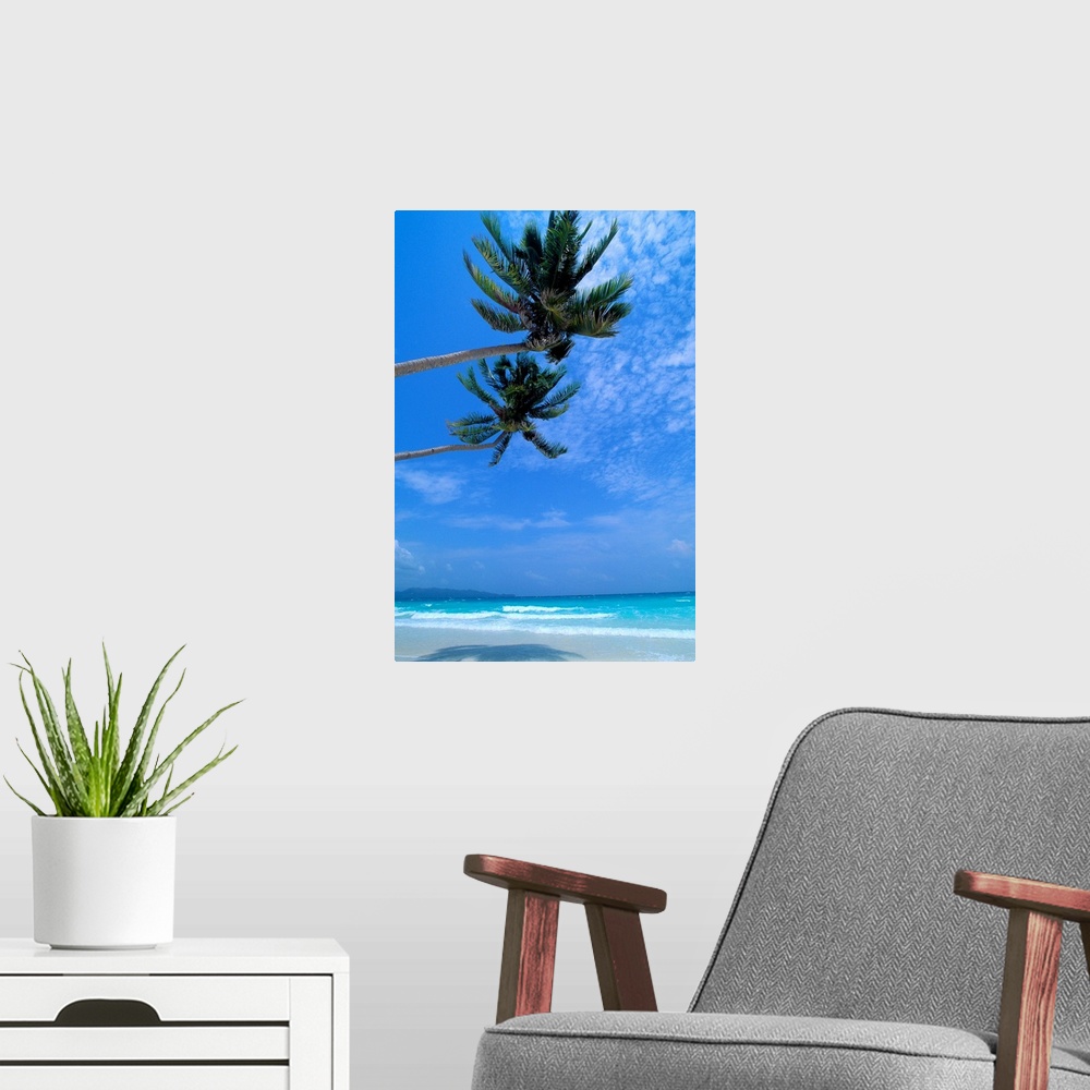 A modern room featuring Philippines, Boracay Island, White Sand Beach, Clear Waters, Two Palm Trees