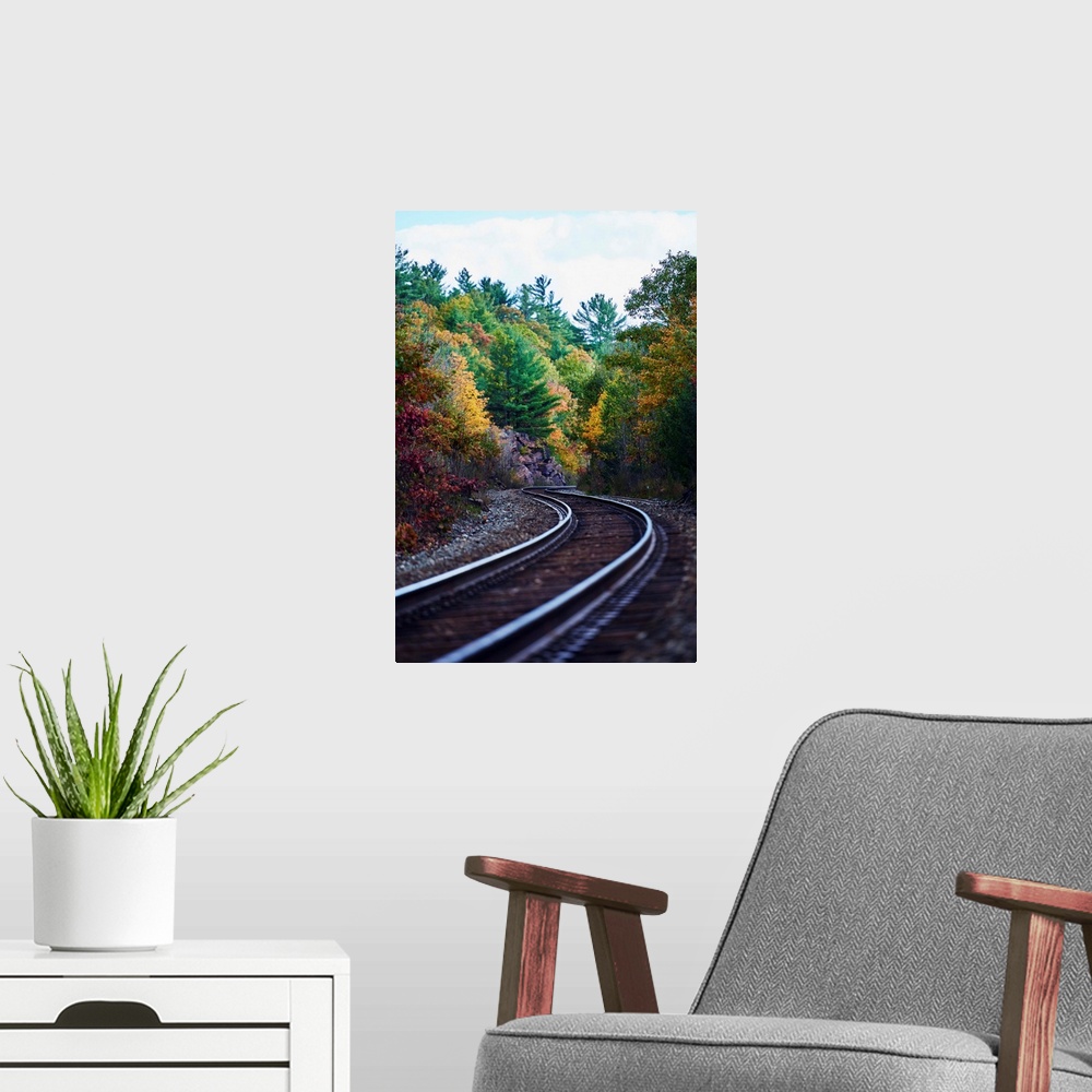 A modern room featuring Railroad tracks through an autumn coloured forest; Ontario, Canada