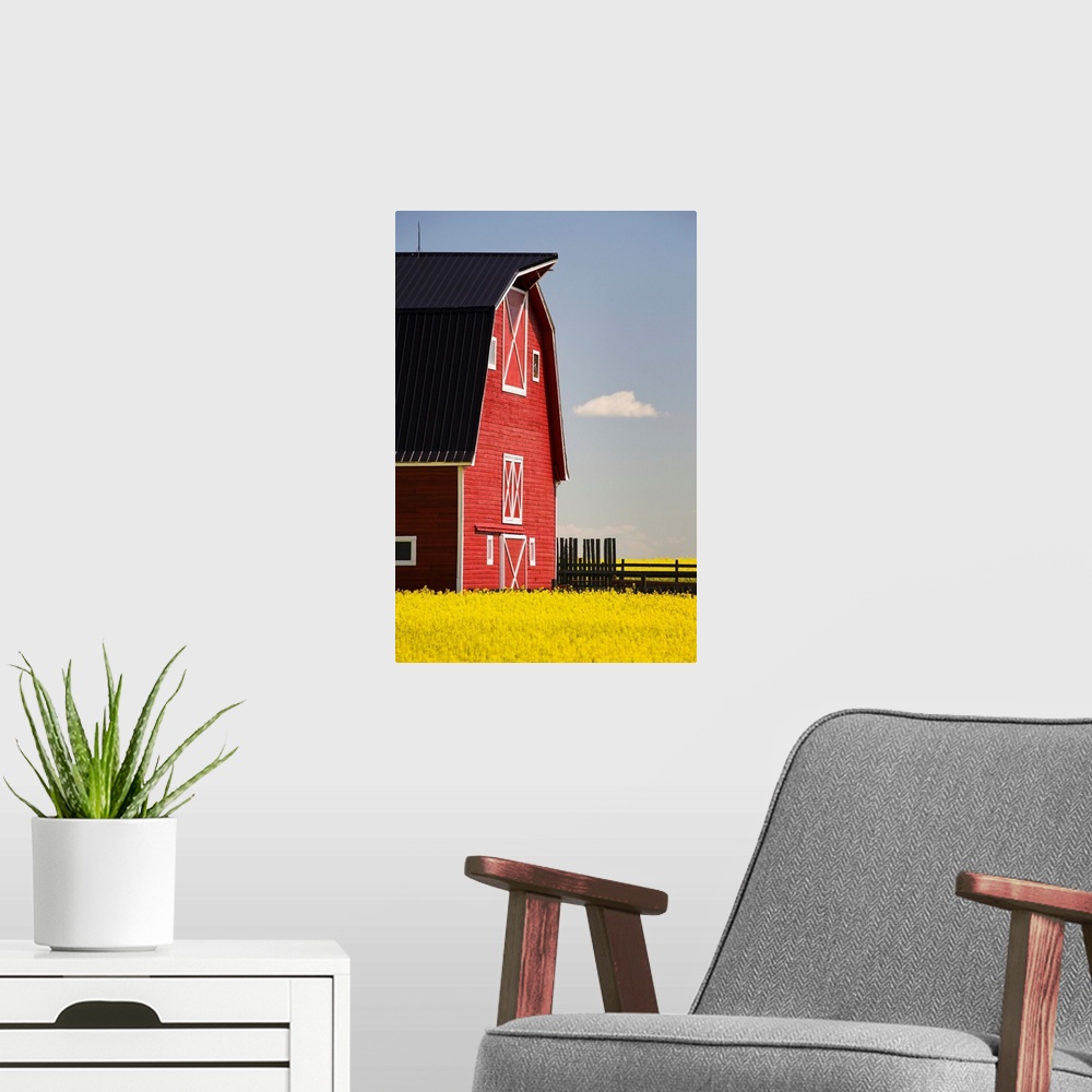A modern room featuring Red Barn In A Flowering Canola Field With Blue Sky, Alberta, Canada