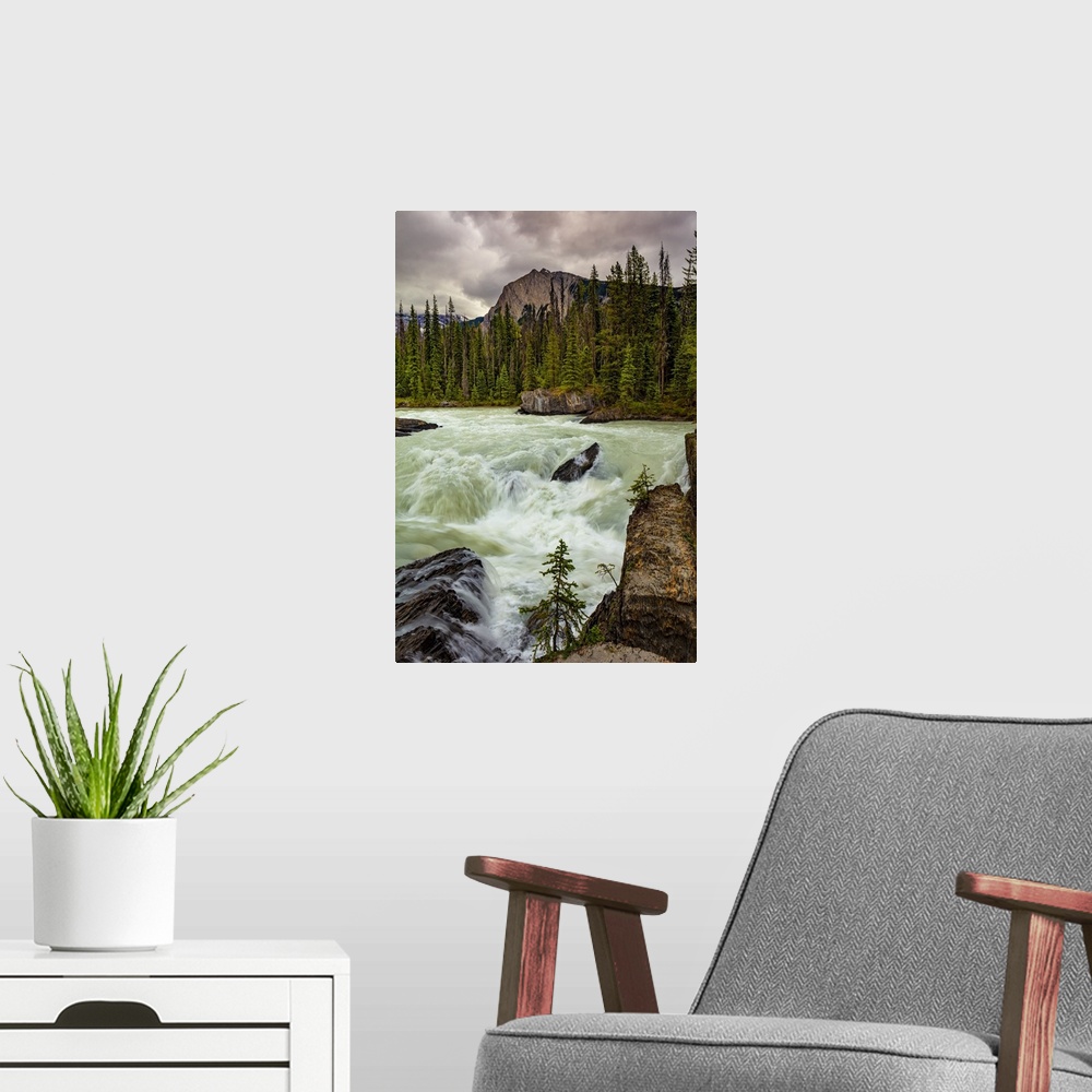 A modern room featuring Rushing river and the Canadian Rockies in Yoho National Park; British Columbia, Canada