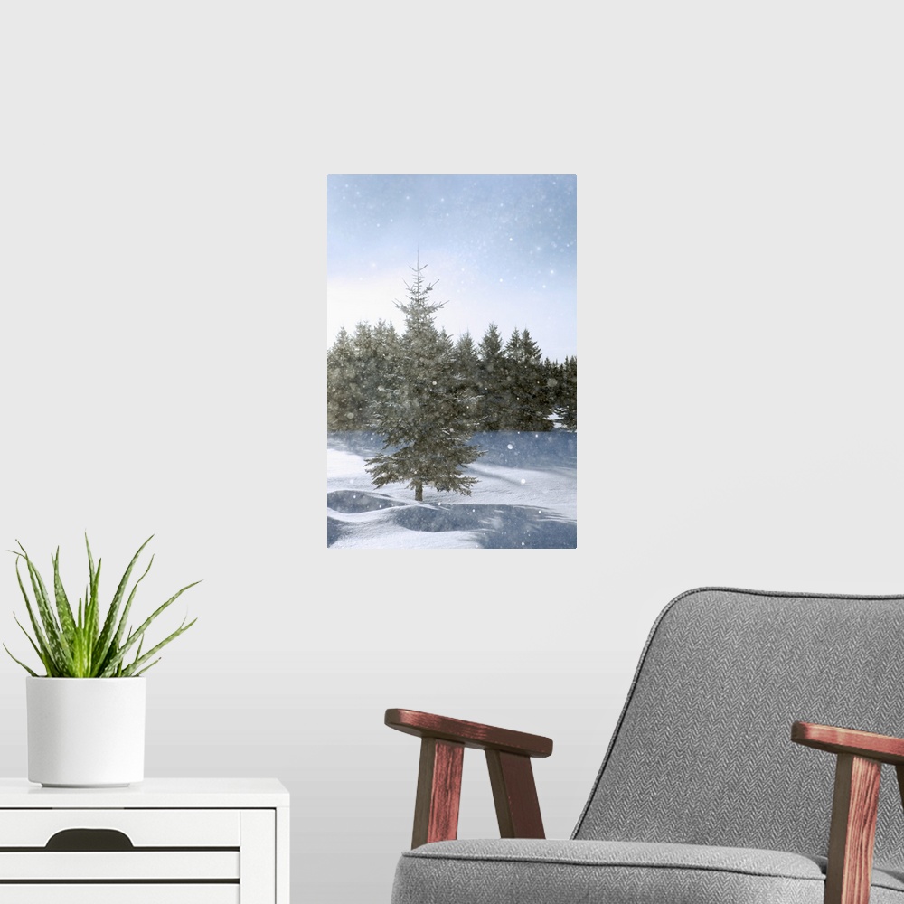 A modern room featuring Snow Flurries Falling In The Sunshine; Thunder Bay, Ontario, Canada