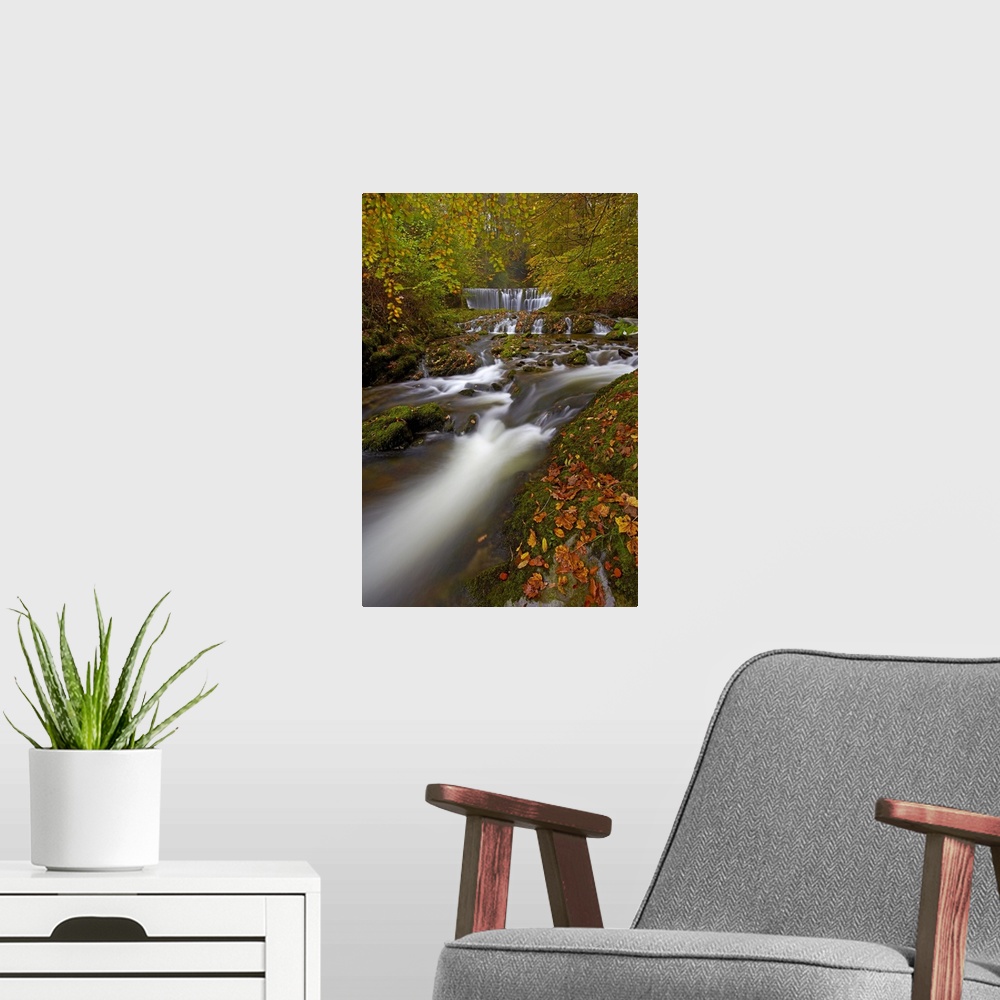 A modern room featuring Stock Ghyll flowing over a waterfall through woodland in autumn.