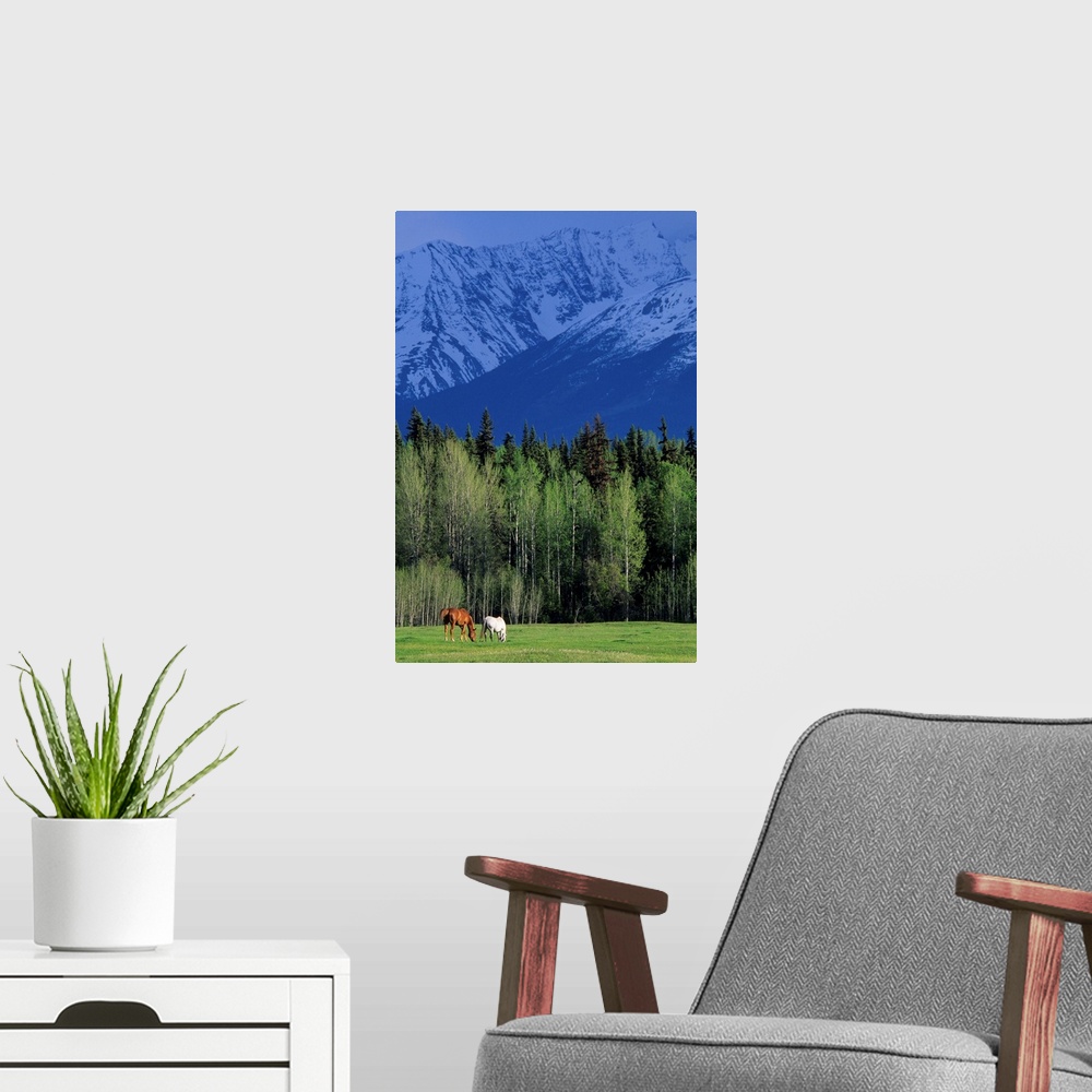 A modern room featuring Telkwa High Road, Bulkley Valley, British Columbia, Canada