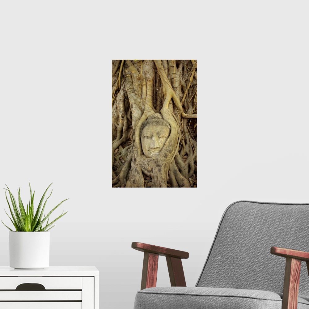 A modern room featuring Thailand, Ayuthayai, Stone Buddha Head With Tree Roots Growing Over It