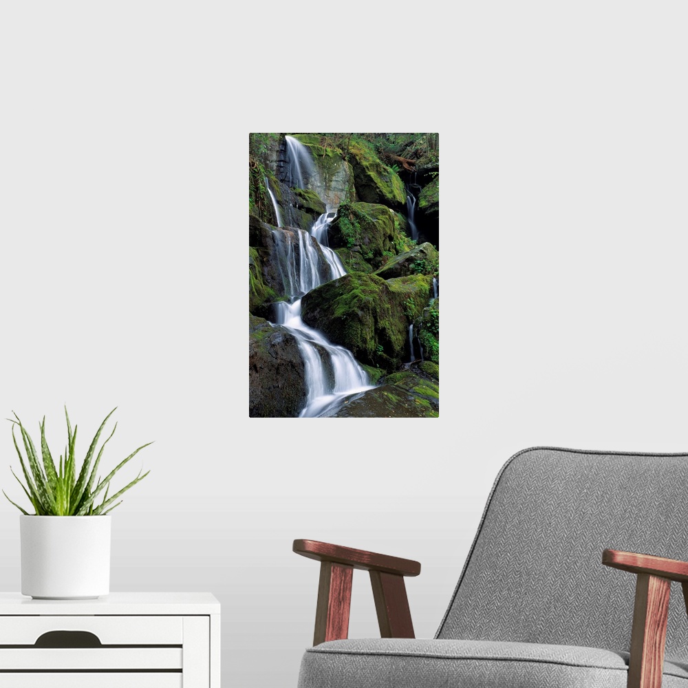 A modern room featuring Thousand Drips Waterfall, Great Smoky Mountains National Park, Tennessee