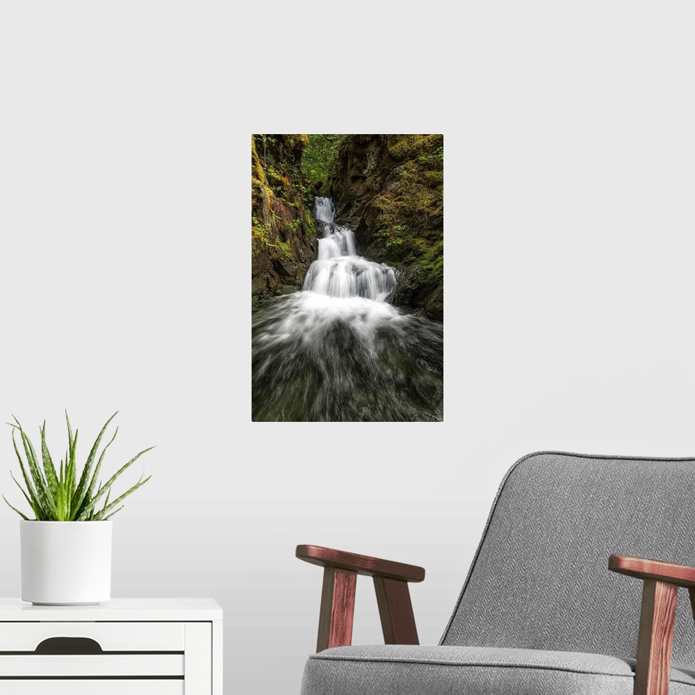 A modern room featuring Unnamed stream and waterfall, Strathcona Provincial Park, British Columbia, Canada