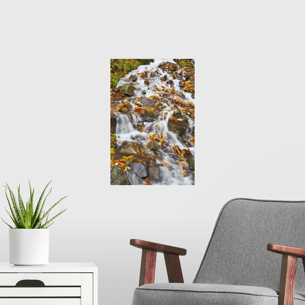 A modern room featuring Water Cascading Over Rocks Covered In Leaves In Autumn