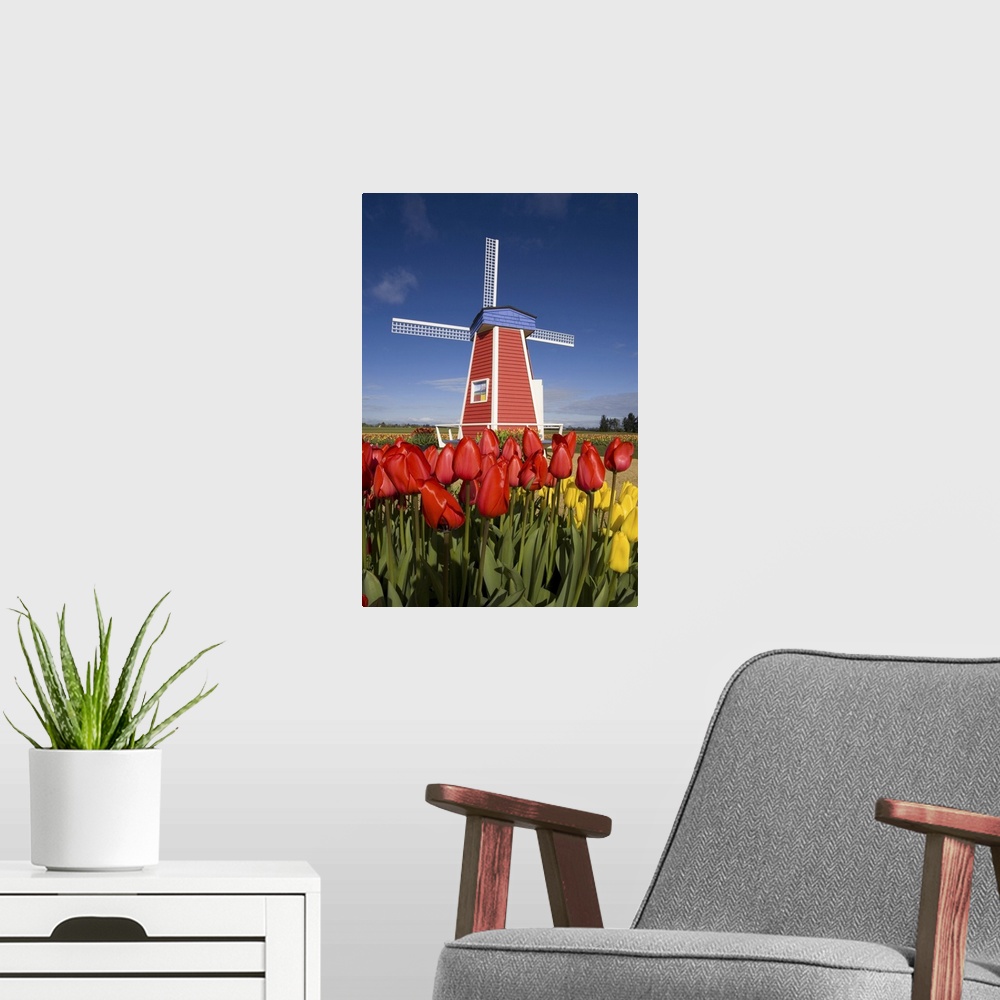 A modern room featuring 02 Apr 2007, Oregon, USA --- Windmill in Tulip Field --- Image by  Craig Tuttle/Corbis