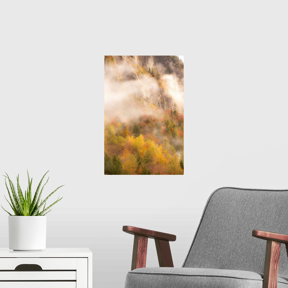 A modern room featuring Landscape photograph of colorful Autumn trees under foggy mountain rock cliffs.