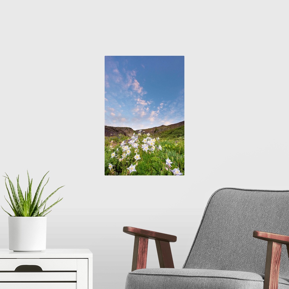 A modern room featuring flowers in a field, color photograph