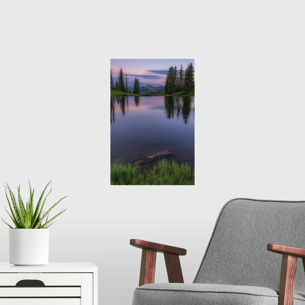 A modern room featuring A photograph of a grove of trees seen reflected in the lake below with a mountain peak in the dis...