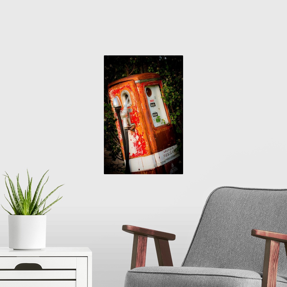 A modern room featuring Photograph of a vintage gas pump surrounded by green foliage.