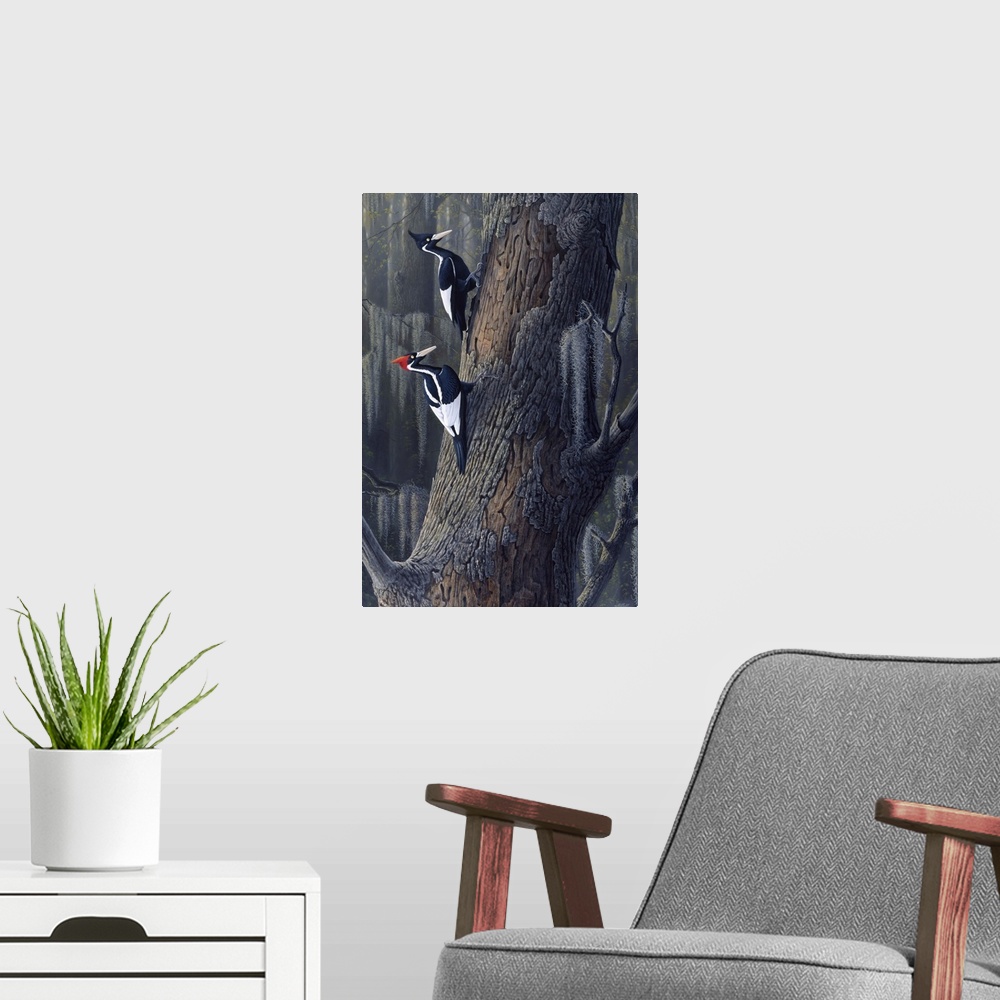 A modern room featuring Ivory billed woodpeckers perched on a tree.