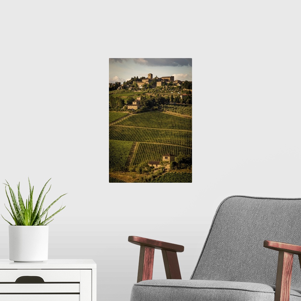 A modern room featuring A photograph of a Tuscan landscape covered in vineyards.