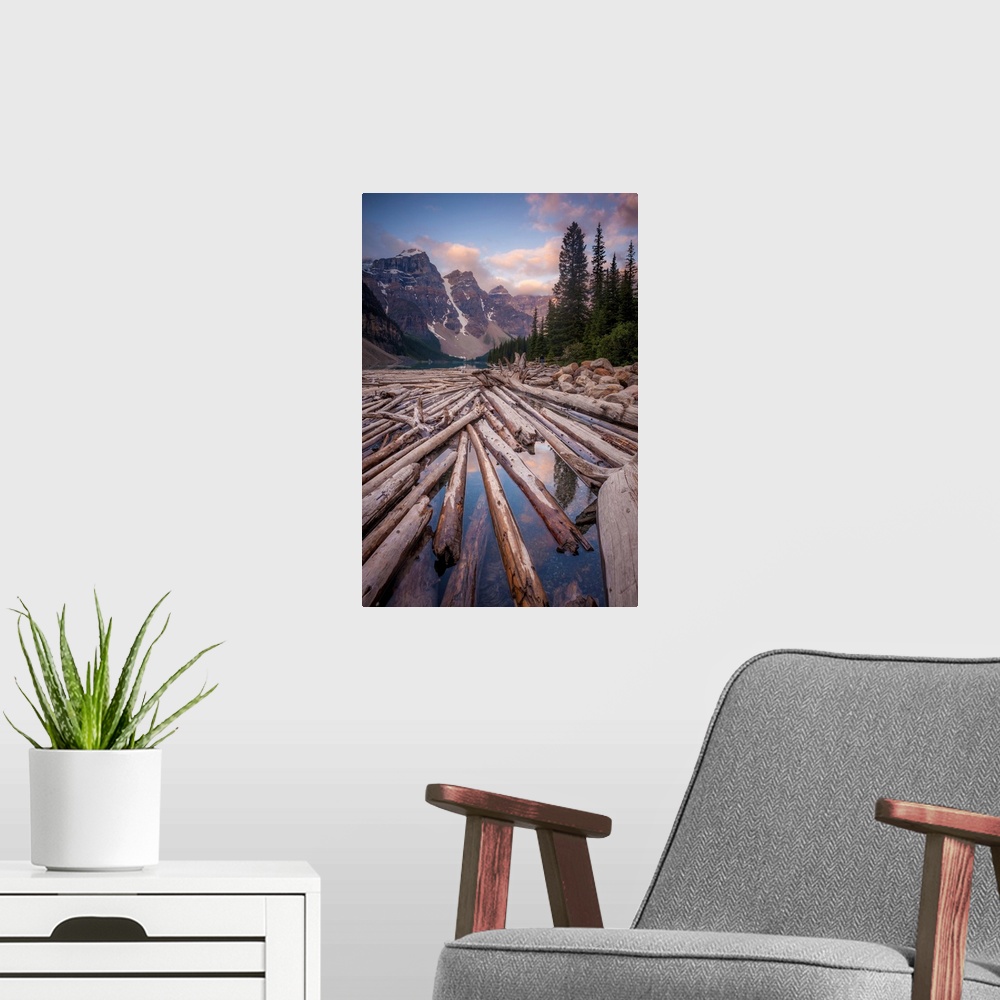 A modern room featuring Landscape photograph with logs piled up in a river with snowy mountains in the background.