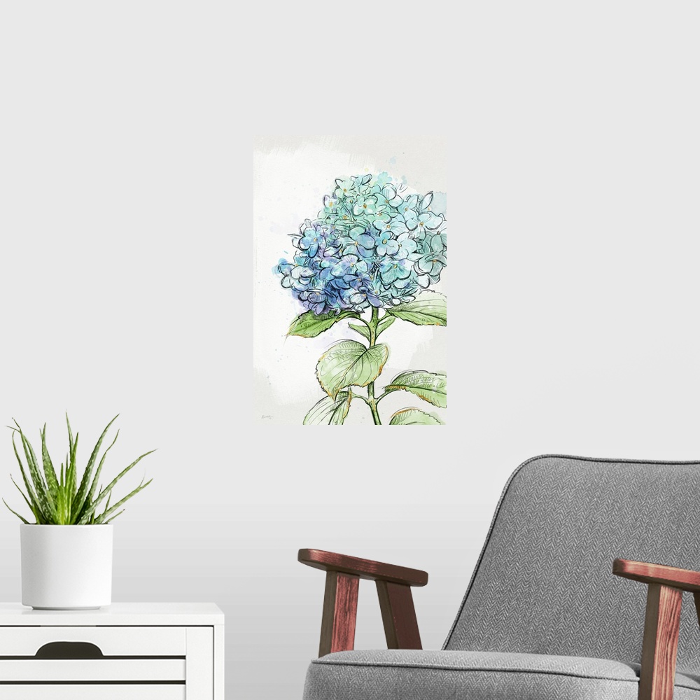 A modern room featuring The popular periwinkle hydrangea is showcased here