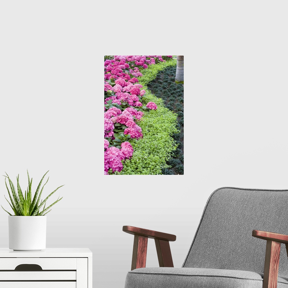 A modern room featuring USA, Georgia, Pine Mountain. A boder of spring flowers, including hydrangea blooms.