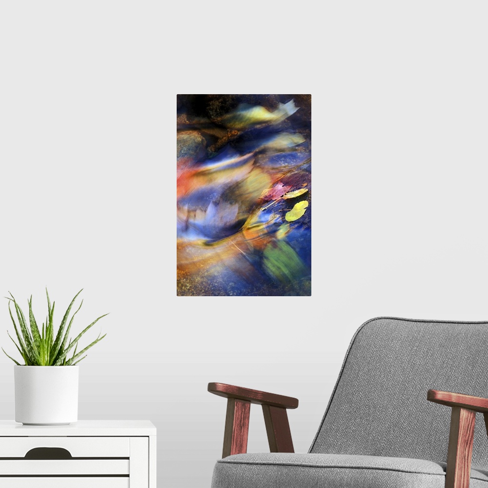 A modern room featuring nature,Abstract of fall leaves rushing downstream