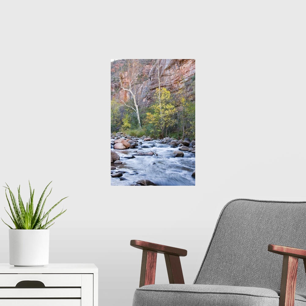 A modern room featuring Arizona, Oak Creek Canyon and trees with fall color.