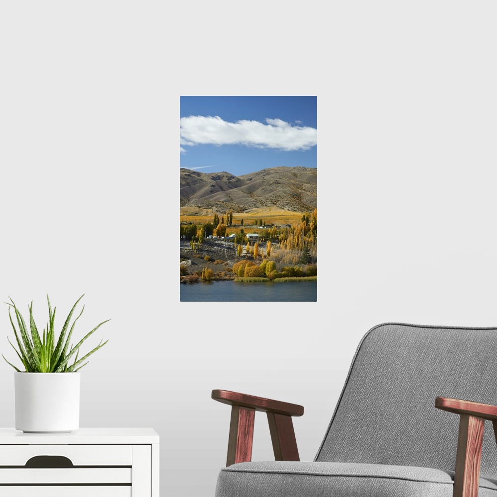 A modern room featuring Autumn colours, Bannockburn Inlet, Lake Dunstan, Central Otago, South Island, New Zealand