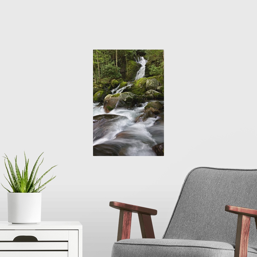 A modern room featuring Big Creek and Mousecreek Falls, Great Smoky Mountains National Park, North Carolina