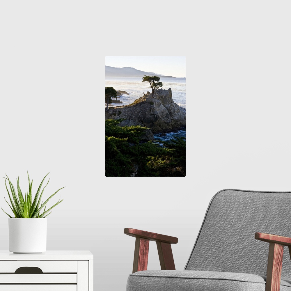 A modern room featuring California, Carmel-by-the-Sea. Sunrise lights the famous Lone Cypress as viewed from 17 Mile Drive.