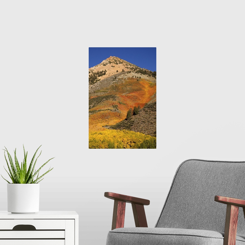 A modern room featuring USA, California, Sierra Nevada Mountains. Autumn color on mountain near North Lake.