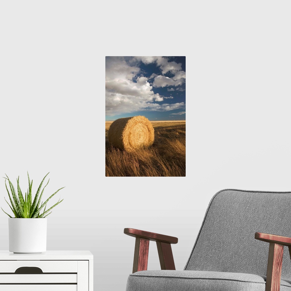 A modern room featuring Canada, Alberta, Stand Off, Landscape with Dramatic Sky and Hay Roll