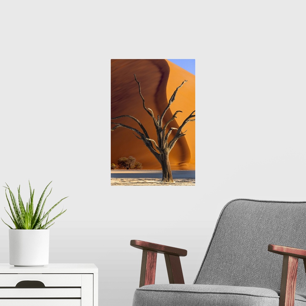 A modern room featuring Namibia, Sossusvlei, Namib-Naukluft National Park. Composite of dead tree and sand dune.