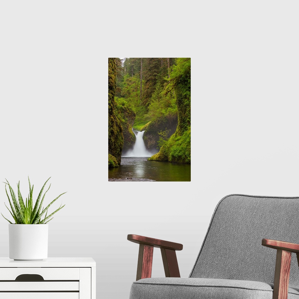 A modern room featuring USA, Eagle Creek, Columbia Gorge, Oregon. Punchbowl Falls on Eagle Creek.