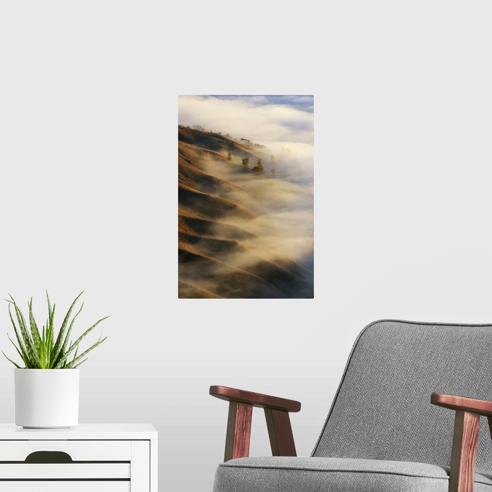 A modern room featuring View from Te Mata Peak and Early Morning Mist along Ridgelines, Hawkes Bay, North Island, New Zea...