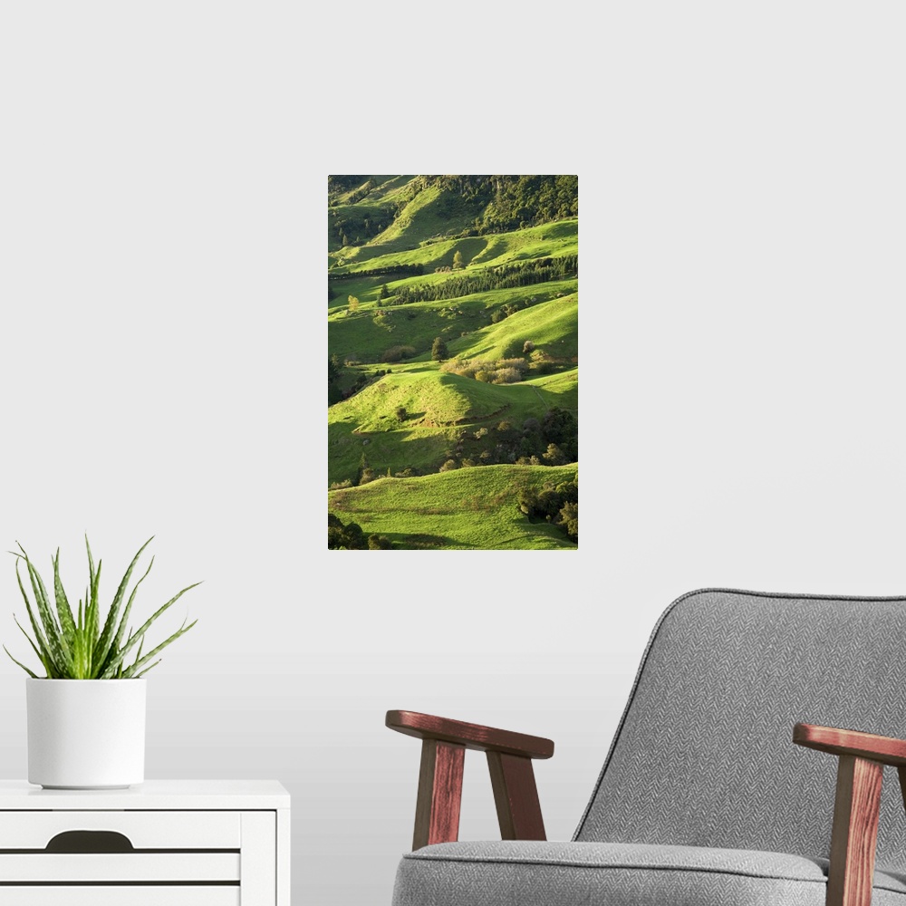 A modern room featuring Farmland near Te Kuiti, King Country, North Island, New Zealand