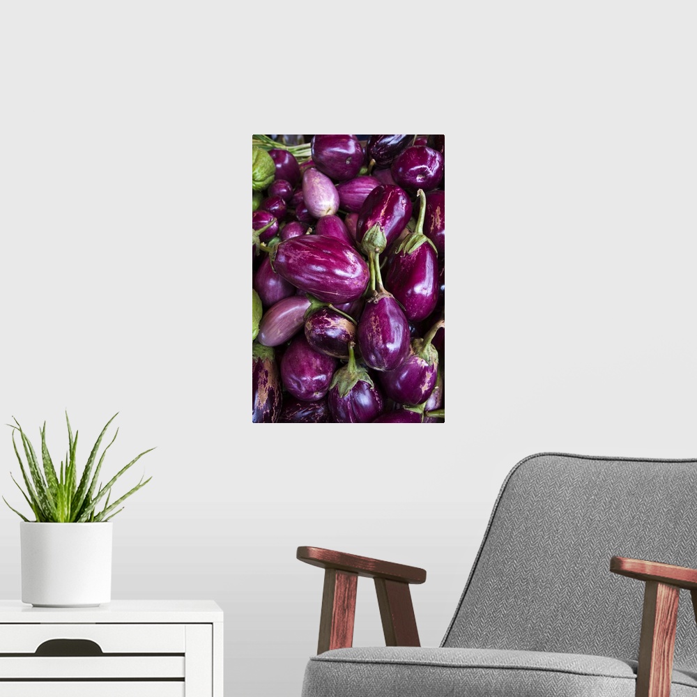 A modern room featuring France, Reunion Island, St-Paul, Seafront Market, Purple Eggplant