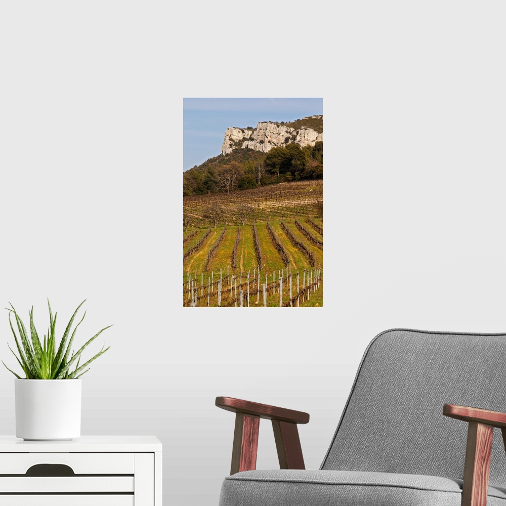 A modern room featuring Graphic pattern vineyard and mountain cliff  Ch..teau Barbanau and Clos Val-Bruyere Cassis Cote d...