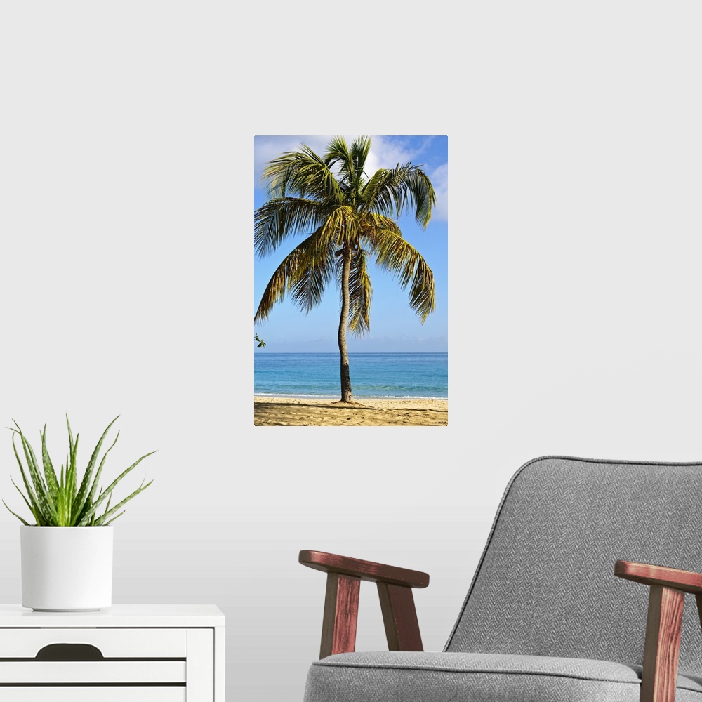 A modern room featuring Grenada. Grand Anse Beach Grenada.